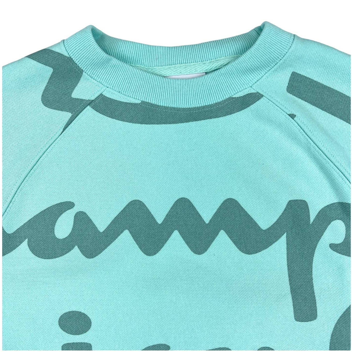 Champion Men Turquoise Blue Sweatshirt US XL Short Sleeve Crew Neck