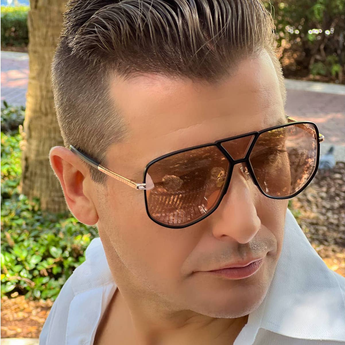 Men Aviator Black Titanium Sunglasses