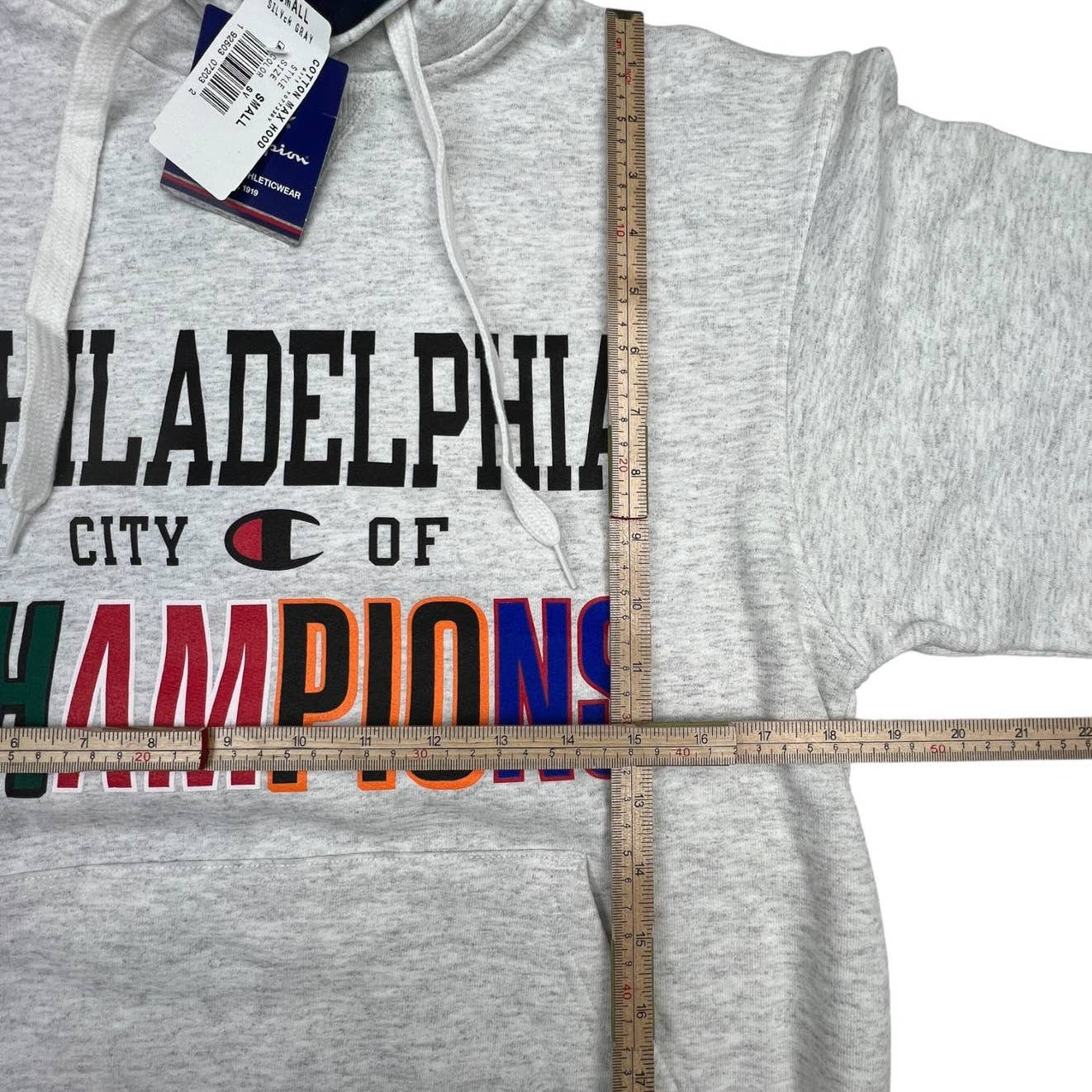 Champion Men Grey Hoody US S Printed Long Sleeve